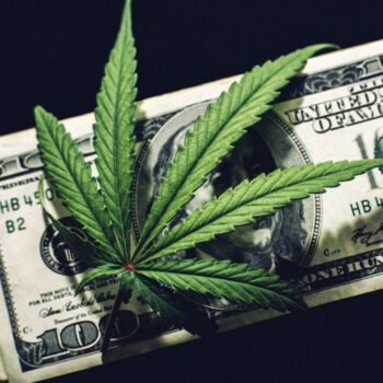 how to start your own marijuana business