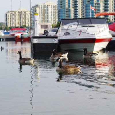 Load image 2022 06 06t203839228 beyond what you can sea 5 questions to ask when buying a used boat