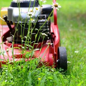 landscape maintenance 3 reasons to hire a professional company