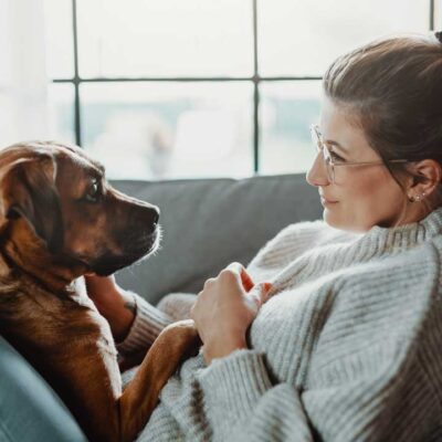 10 main sorts of emotional support animals