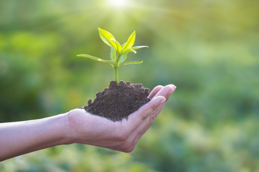 5 great tips for living a more sustainable lifestyle