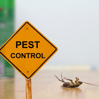 how to choose the best pest control service