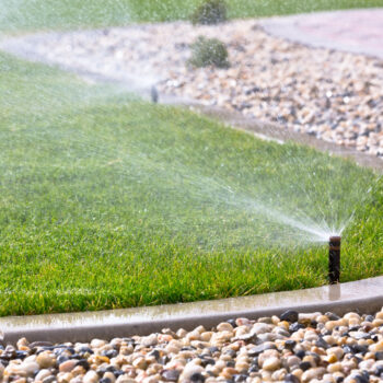 5 signs your yard needs an irrigation system