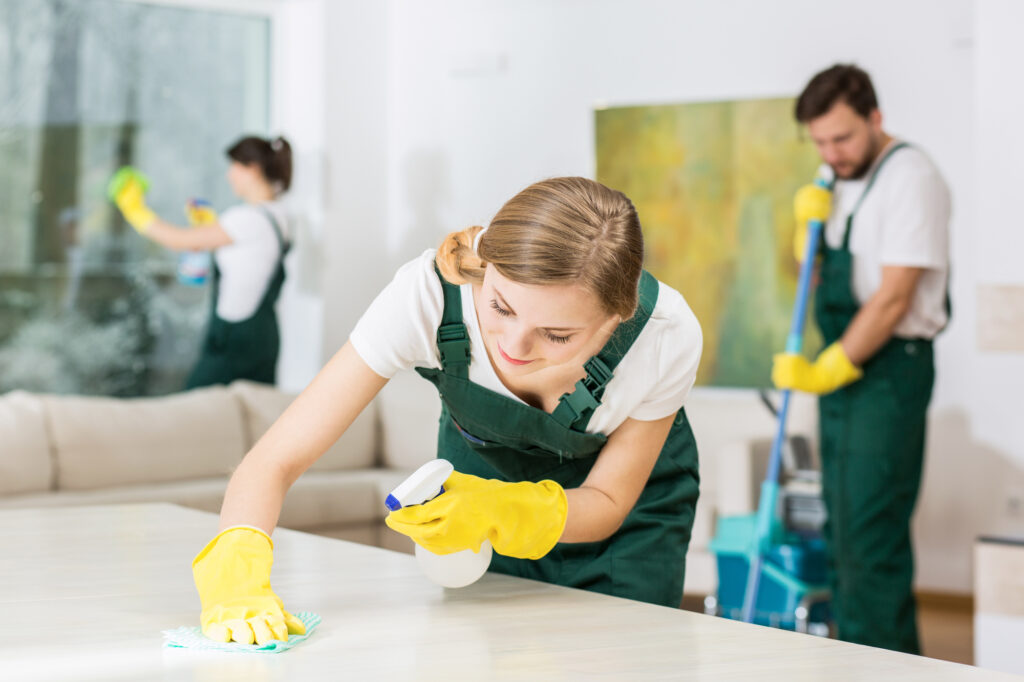 why you should consider professional cleaning services