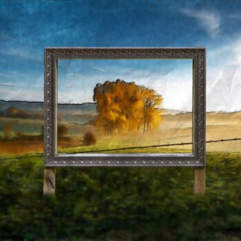 the dos and donts of art investing