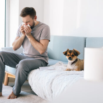 fast facts what is an allergen and how does it affect you