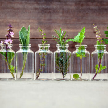 essential oils for beginners what you need to know