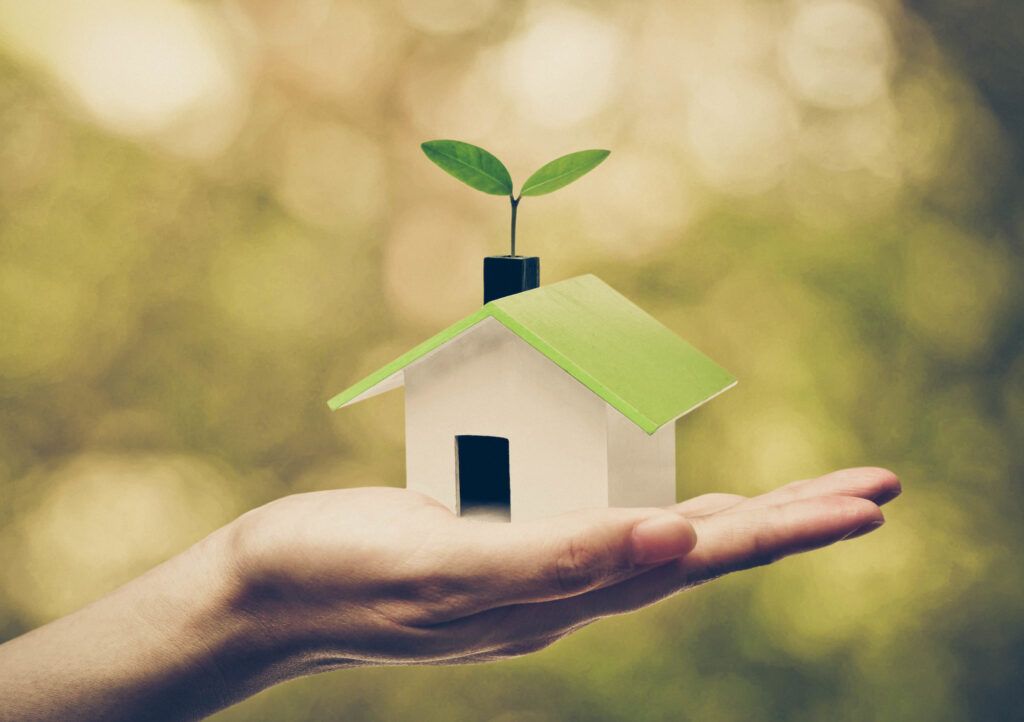 Hand Holding a Small Green House with a Young Green Plant Growing on the Roof Ecohouse Concept how to create a home renovation budget