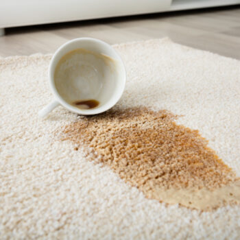 how to clean huge carpet stains and when to call the professionals