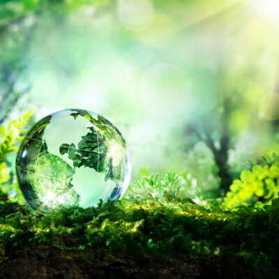 3 things you can do to improve the environment around your community