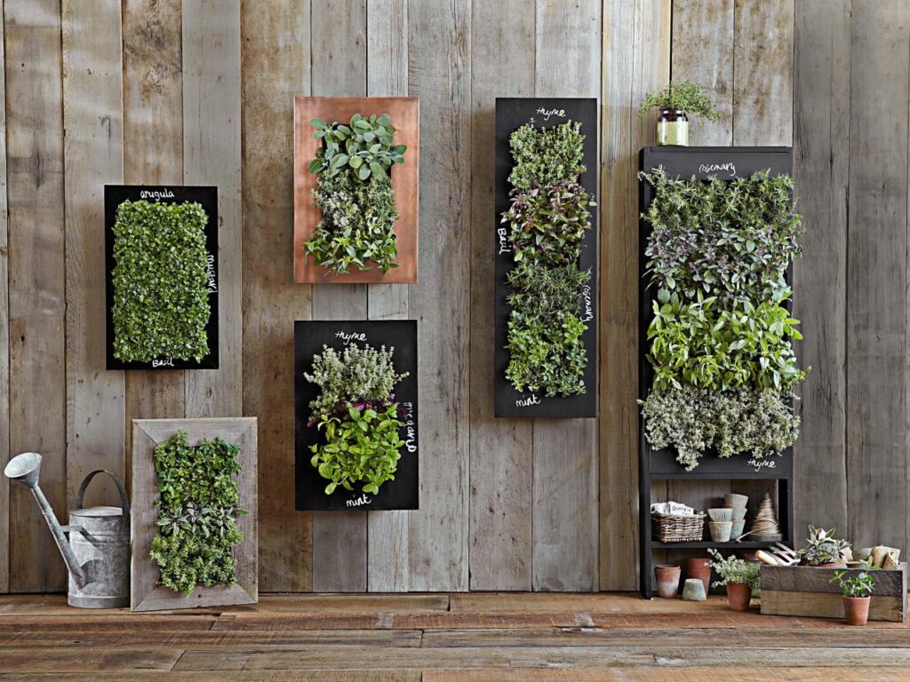 1452647210659 are vertical gardens cost effective for seniors on a fixed income