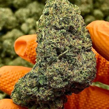 7 major reasons why you need to purchase sour tsunami today