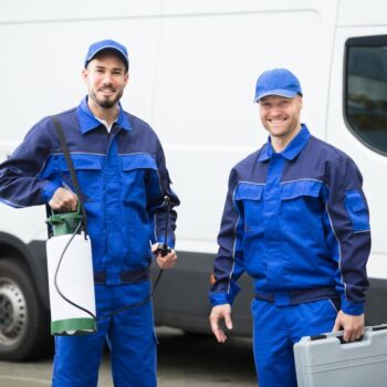 termite inspections how often you should schedule them