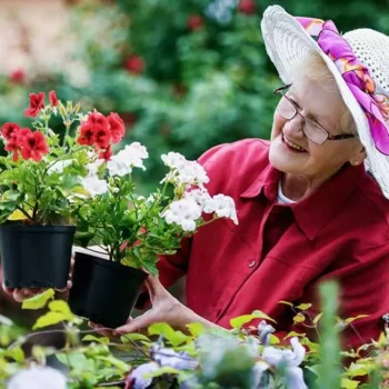 power tools vs hand tools which are better for senior gardeners