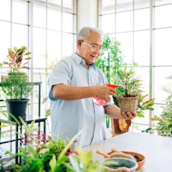 how can seniors start a terrarium garden with minimal effort