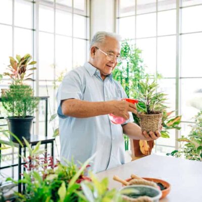 how can seniors start a terrarium garden with minimal effort